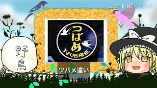 ゆっくり野鳥解説その6【ツバメ編】