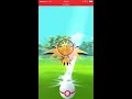 【ポケモンgo】☆5サンダー エクセレントを狙え【pokémon go】