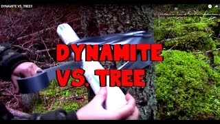 Can we chop a TREE with DYNAMITE?