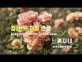 tj노래방 그남잔말야 반하나 tj karaoke