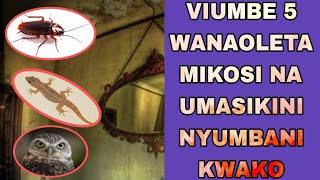 VIUMBE 5 WANAOVUTA MIKOSI NA UMASIKINI KATIKA NYUMBA YAKO usipuuzie UKIWAONA