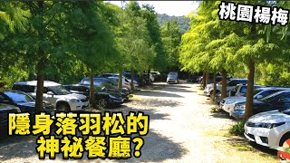 【桃園楊梅】森林系餐廳!老莊園客家台菜美食 落羽松森林療癒你心 Laozhuang Garden ｜茄子樂活誌 ｜ HOLA Eggplant