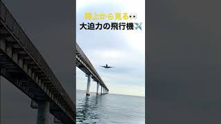 海上から飛行機✈️見たよ！【セントレア】#shorts