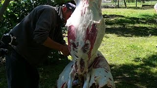 Rackavágás,és birkacomb egészben sütve-sheep slaughter-Schafe schlachten