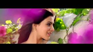 Manasuki tealiyani Veadham Full Video Song | MAJILI | Naga Chaitanya, Samantha | Gopi Sundar