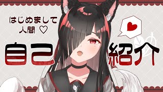 【自己紹介】狐夜庵ちくわと申します【Vtuber】