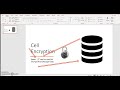 SQL Server Cell level Encryption