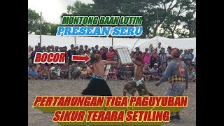 Presean Montong Baan Lombok Timur Pertarungan Segi Tiga Paguyuban Sikur Terara Setiling