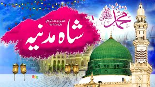 Shahe Madina Full Naat | Urdu\Hindi