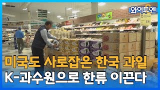 와이티엔 뺨치는 와이투엔 ㅣ 와이투엔 59회 / YTN2