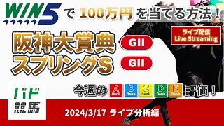 【WIN5で100万円：ライブ分析編】 2024年3月17日（日）阪神大賞典・スプリングステークス【競馬】