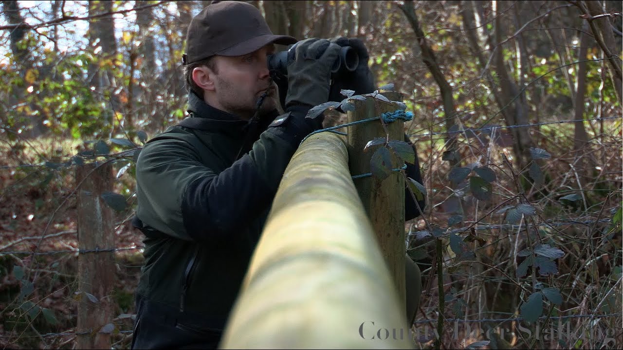 How To Use Binoculars Youtube