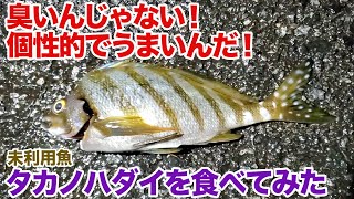 臭いんじゃない！個性的でうまいんだ！未利用魚タカノハダイを食べてみた