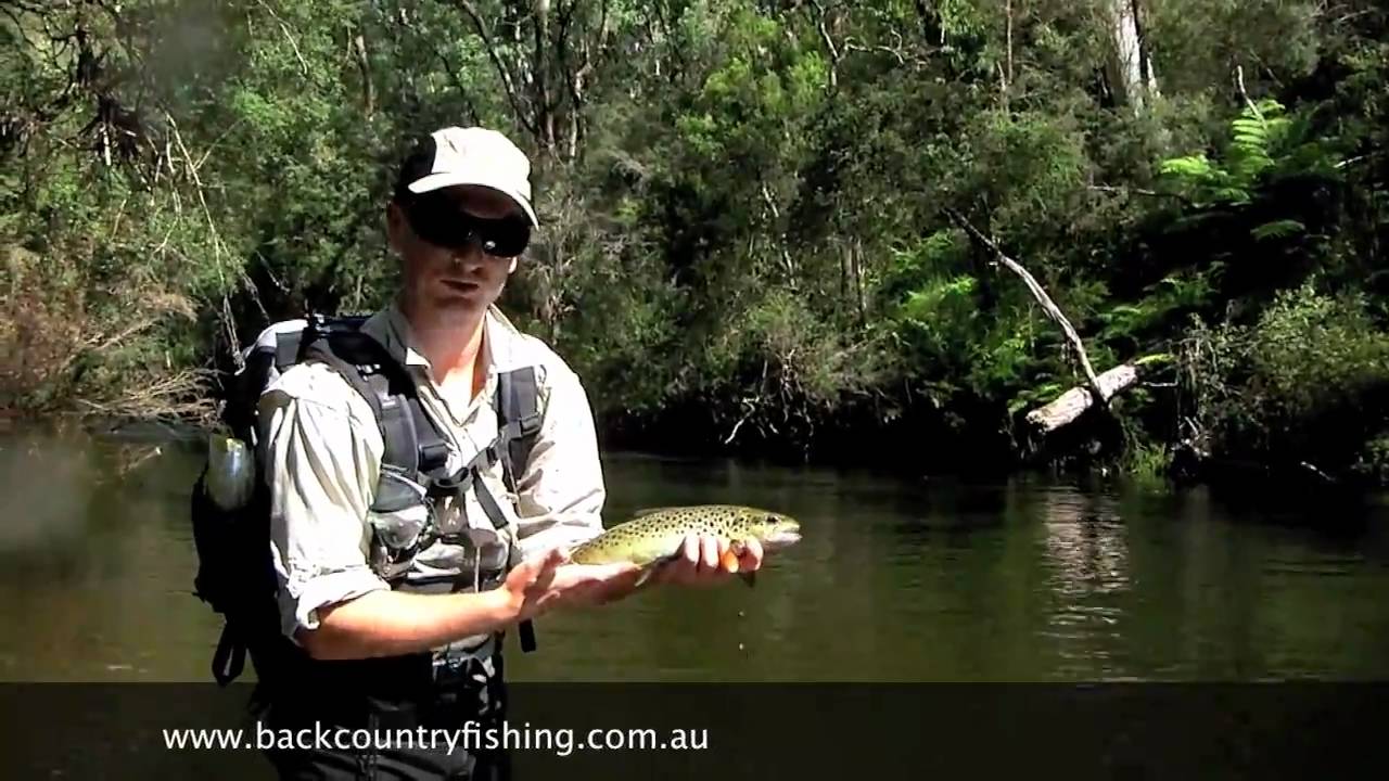 Victorian High Country River Lure Fishing For Trout, Victoria Australia ...