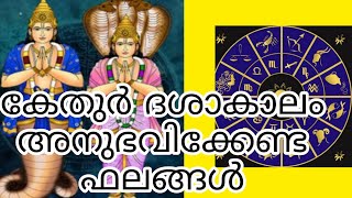 കേതുർദശ, ketu dasha, നിങ്ങളുടെ ജീവിതത്തിൽ എങ്ങനെ അനുഭവപ്പെടുന്നു #youtube #astrology #2022