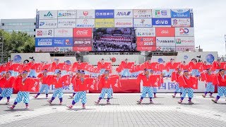 [4K] 万々商店街　万々歳　高知よさこい祭り 2019 本祭2日目