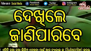 ଥରେ ଦେଖନ୍ତୁ ଦେଖିକି କୁହନ୍ତୁ କେମିତି ଲାଗିଲା ।। Thare dekhantu ta pare kuhantu ...