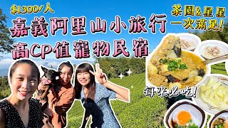 睡在茶園裡？！嘉義阿里山小旅行！超高CP值寵物民宿！$1300一泊二食，晚上爆多星星！嘉義美食吃不膩之終於喝到御香屋😂太興岩步道、佐登妮絲城｜Irene麻糬公主