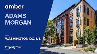 Property Tour | Adams Morgan, Washington D.C | Student Accommodation in USA | amber
