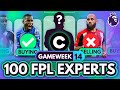 FPL GW14 EXPERT Transfer Trends & Best Captains? 🧠 100 Experts Reveal Gameweek 14 Team Plans