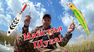 Майская Щука! На что лучше ловить щуку весной? Железо или Воблер? #рыбалка2021 #щукавесной