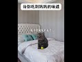 当你在外地吃到了妈妈的味道 猫meme 搞笑 妈妈 猫meme小剧场 cat 迷恋 萌宠 funny 貓 cute 萌寵 治癒小貓 pets