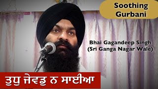 Tudh Jewad Na Saiyan - Guru Arjun Dev Ji