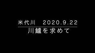 米代川釣行　川鱸（シーバス）を求めて