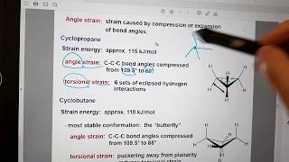 사이클로 알케인의 안정성 : 고리 스트레인