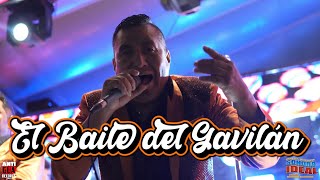 El Baile del Gavilan - Marimba Orquesta Sonora Ideal