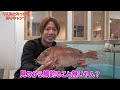 敷地内でヤバい生き物が釣れまくる最強宿！釣りプロ夫婦の広島遠征