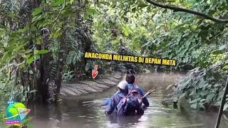 Dua Pria Jelajahi Sungai Amazon Selama 860 Hari !! Buktikan Anaconda Raksasa Beneran Ada Hingga Kimi