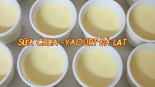 Sữa chua - yaourt Đà Lạt đặc mịn làm siêu dễ