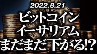 ビットコイン・イーサリアムまだまだ下がる！？［2022/8/21］【仮想通貨・BTC・ETH・FX】※2倍速推奨