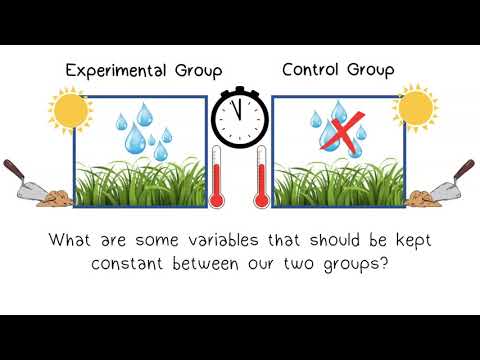 What part of an experiment does not change?