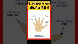 5 finger's name in English🥰।। five fingers name🥰।। #shorts #grammar