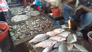 নেত্রকোনা-মোহনগঞ্জ বাজারের মাছের আরত | এখানে সব ধরনের মাছ পাওয়া যায় দামেও তুলনামূলক কম