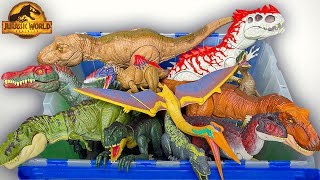 GIANT Dino Collection from ALL Jurassic World Movies! Rare Figures, Most Popular Dinosaurs & More