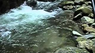 2010年07月23日「三日詰めると」tenkara.com