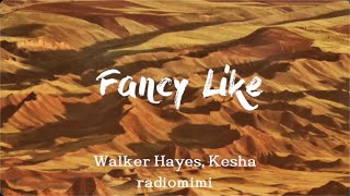 Walker Hayes, Kesha - Fancy Like (Lyrics)