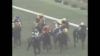 ダイタクヘリオス 1991年 第41回安田記念(GI) (優勝馬：ダイイチルビー) (実況：ラジオたんぱ)