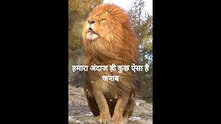 Lion tiger attitude status | lion attitude dialogue status | lion full screen status | #viral #short