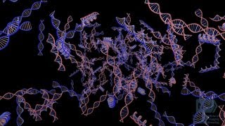 Teaming Up: Imaging and Genetics