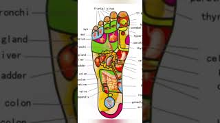 50 + Reasons to Massage Your feet everyday before sleeping in night | Foot Acupressure Points