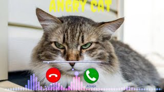 Angry cat  -  Ringtone mp3 @Amosh