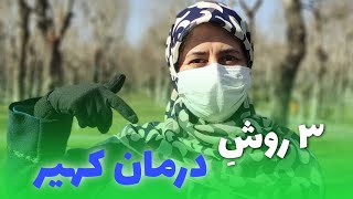 درمان کهیر به کمک طب سنتی و داروهای گیاهی