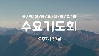 수요기도회 - 11월 13일, 선교와 섬김의 본이 되신 예수 그리스도 (빌립보서 2:1-11) 조계영 목사