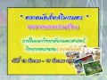 รู้เพิ่มเติมค่าเกษตรฯ ผลผลิตมะพร้าวปลอดสารฯ2