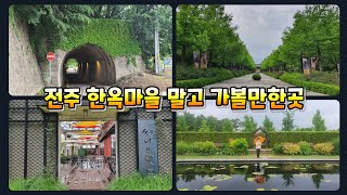 전주여행 - 한옥마을 말고 가볼만한곳(한벽터널,전주동물원,팔복예술공장,전주수목원)