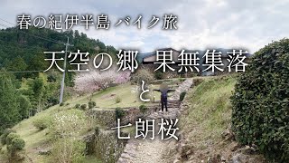 【奈良 十津川】天空の郷「果無集落」と咲き誇る「七朗桜」【二人旅】世界遺産と温泉 春のバイク旅